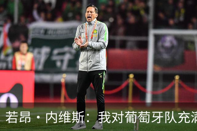 若昂·内维斯：我对葡萄牙队充满信心，我们会改进不足